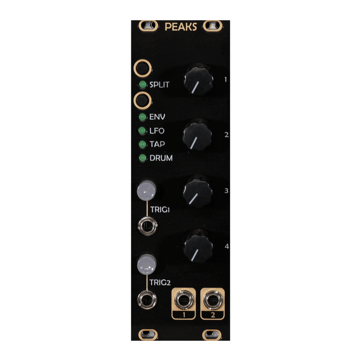 After Later Audio Mutable Instruments Peaks Clone – Patchwerks